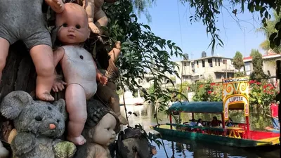 यहां पेड़ों पर लटकी  डरावनी डॉल्स  देखने पहुंचते हैं पर्यटक  island of dolls
