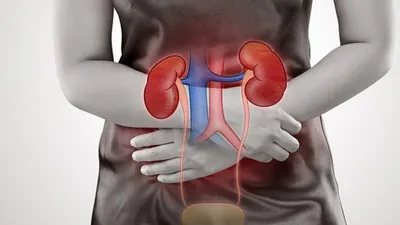 किडनी को नुकसान पहुंचा सकती हैं ये 5 चीजें  हो जाएं सावधान  kidney health