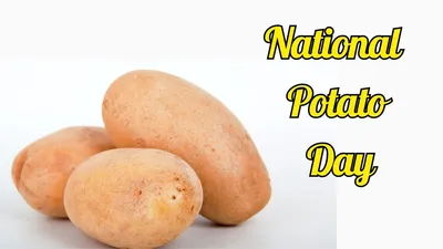 स्वाद ही नहीं सेहत का भी मास्टर है आलू  आप भी नहीं जानते होंगे ये फायदे  national potato day