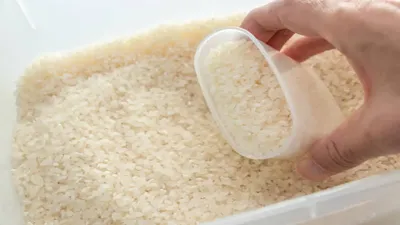 चावल स्टोर करने का सही तरीका  storing rice