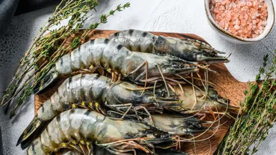 झींगा खाने से शरीर को मिलते हैं ये लाभ  ऐसे करें डाइट में शामिल  prawn benefits