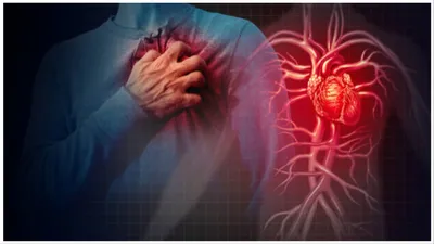 बढ़ती उम्र के साथ बढ़ जाता है दिल के रोगों का खतरा  जानें  aging affects on heart