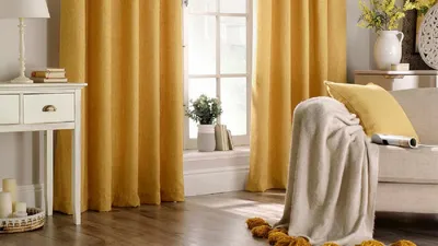 जानिए घर की किस दिशा में कौन से रंग के पर्दे लगाने चाहिए  vastu tips for curtain