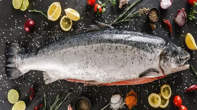 सालमन मछली खाने से शरीर को मिलते हैं ये लाभ  ऐसे करें डाइट में शामिल  salmon fish benefits