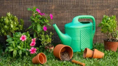 मानसून में कुछ इस तरह से रखें अपने घर में रखे पौधों का ख्याल  gardening in monsoon