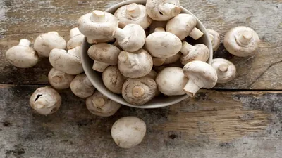 क्यों खाने चाहिए मशरूम  जान लीजिए इसके ये अद्भुत फायदे  mushrooms benefits