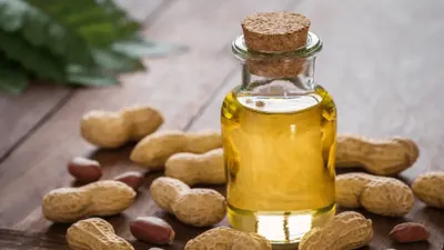 सर्दियों में करना है एक्‍स्‍ट्रा किलो कम तो डाइट में शामिल करें मूंगफली का तेल  जानें अन्‍य फायदे  benefits of peanut oil