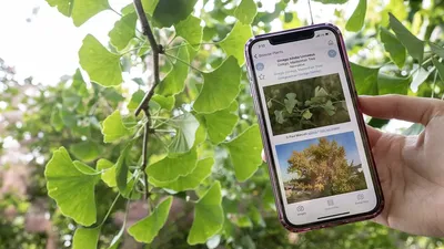 गार्डनिंग का है शौक तो रखे स्मार्टफोन में यह एप्स  gardening app