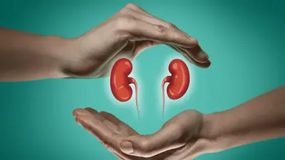 जागरूकता की कमी से भारतीयों में बढ़ रही क्रोनिक किडनी डिजीज  chronic kidney disease