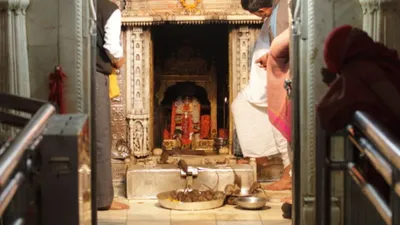 इस मंदिर में रहते हैं 25 हजार चूहे  भक्त खुशी खुशी लेते हैं इनका झूठा प्रसाद  karni mata rat temple
