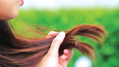 दोमुंहे बालों के लिए दादी नानी के 8 घरेलू नुस्खे  remedies for split ends