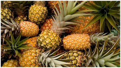 अनानास के ये फायदे आपको भी कर देंगे हैरान  health benefits of pineapple