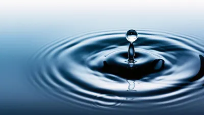  विश्व जल दिवस  कब और क्यों मनाया जाता है  world water day 2023