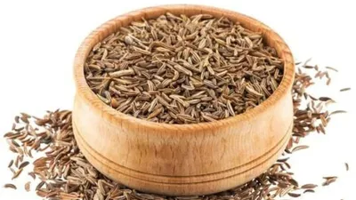जीरा खाने के क्या हैं फायदे  जानें इस्तेमाल का तरीका  cumin seeds benefits