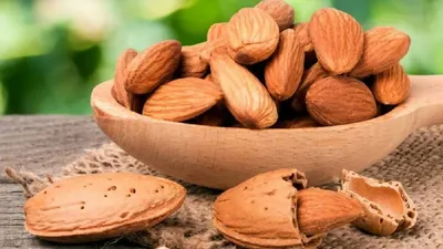 जानिए सर्दियों में क्यों रोजाना खाना चाहिए बादाम  almond health benefits