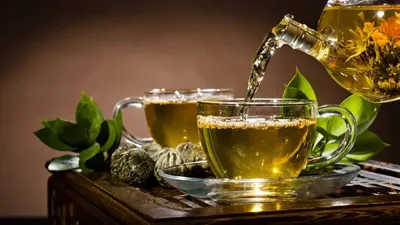 गृहलक्ष्मी टॉप 10 ग्रीन टी  top green tea