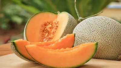 गर्मियों में खरबूजा ऐसे करेगा  इम्यूनिटी बूस्ट  melon benefits
