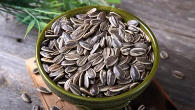 रोजाना सूरजमुखी के बीज खाने से होंगे ये कमाल के फायदे  sunflower seeds benefits
