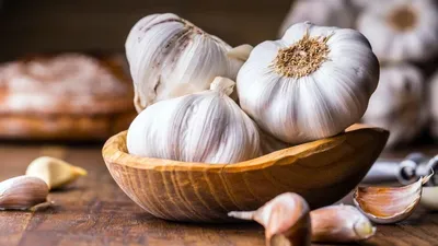 वजन कम करने के साथ कई बीमारियों से बचाता है लहसून  benefits of garlic