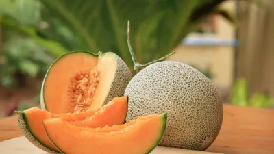 खरबूजा खाने से शरीर को मिलते हैं गज़ब के फायदे  musk melon benefits