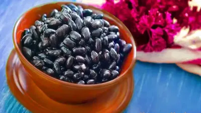 भट्ट की काली दाल सेहत के लिए है जबरदस्त  खाने से होते हैं ये 5 फायदे  benefits of bhatt ki dal