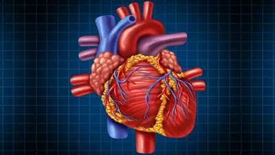 रोजमर्रा की जिंदगी में बदलाव से स्वस्थ होगा आपका दिल  healthy heart