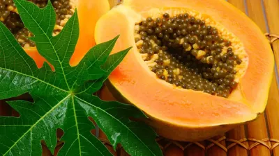 पपीते के पत्ते का जूस देता है ये अनेकों फायदे  papaya leaf juice