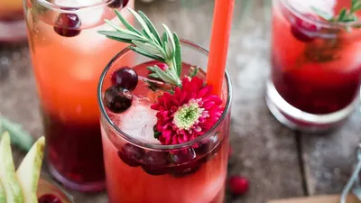 क्रैनबेरी टी को करें डाइट में शामिल  जानिए इसके फायदे और रेसिपी  cranberry tea