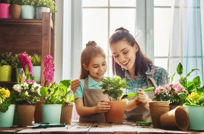 छुट्टियों के दौरान पौधों की देखभाल कैसे करें  gardening tips
