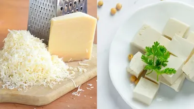 क्या पनीर  मोत्ज़ारेला चीज़ से ज्यादा हेल्दी है  जानें सच  mozzarella cheese vs paneer
