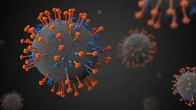 देश में फैल रहा है जानलेवा निपाह वायरस  जानिए लक्षण और बचाव  nipah virus