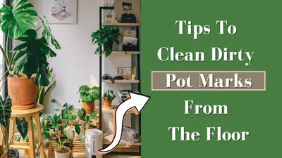 पेड़ पौधों के गमलों से जमीन पर पड़ने वाले निशान  ऐसे होंगे गायब  dirty floor cleaning tips