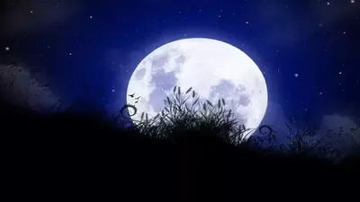 शरद पूर्णिमा पर लग रहा है चंद्र ग्रहण  बन रहे हैं कई अद्भुत संयोग  sharad purnima 2023