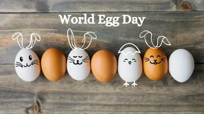 अंडों का रोजाना सेवन है सेहतमंद  world egg day