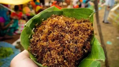 पोषक तत्वों से भरी है ओडिशा की लाल चींटियों की चटनी  जीआई का मिला टैग  red ant chutney